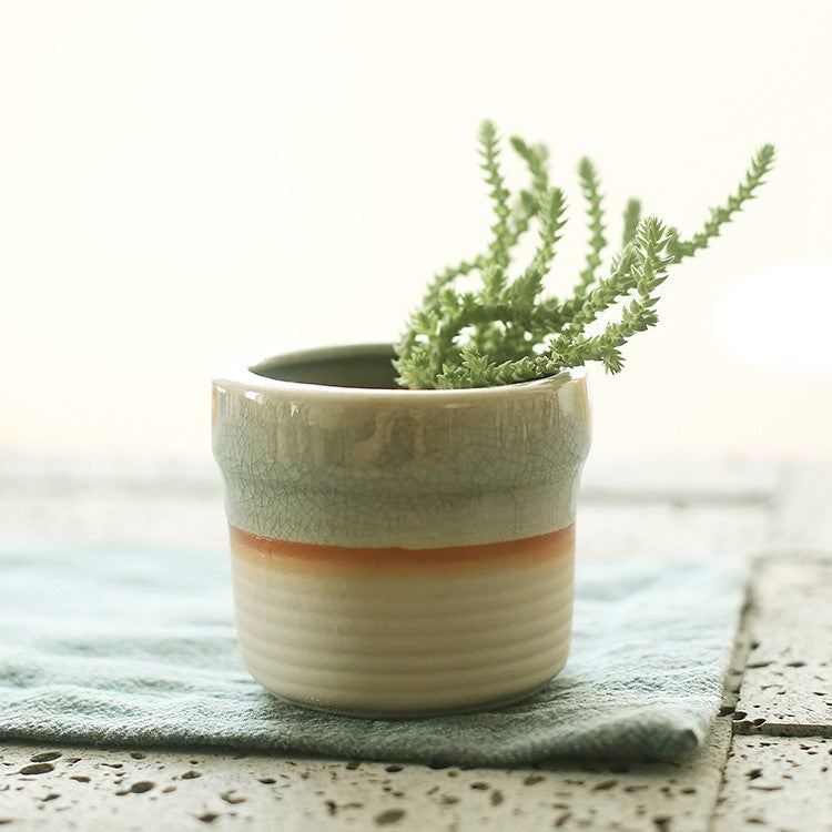 Succulent flowerpot furniture indoor potted plants