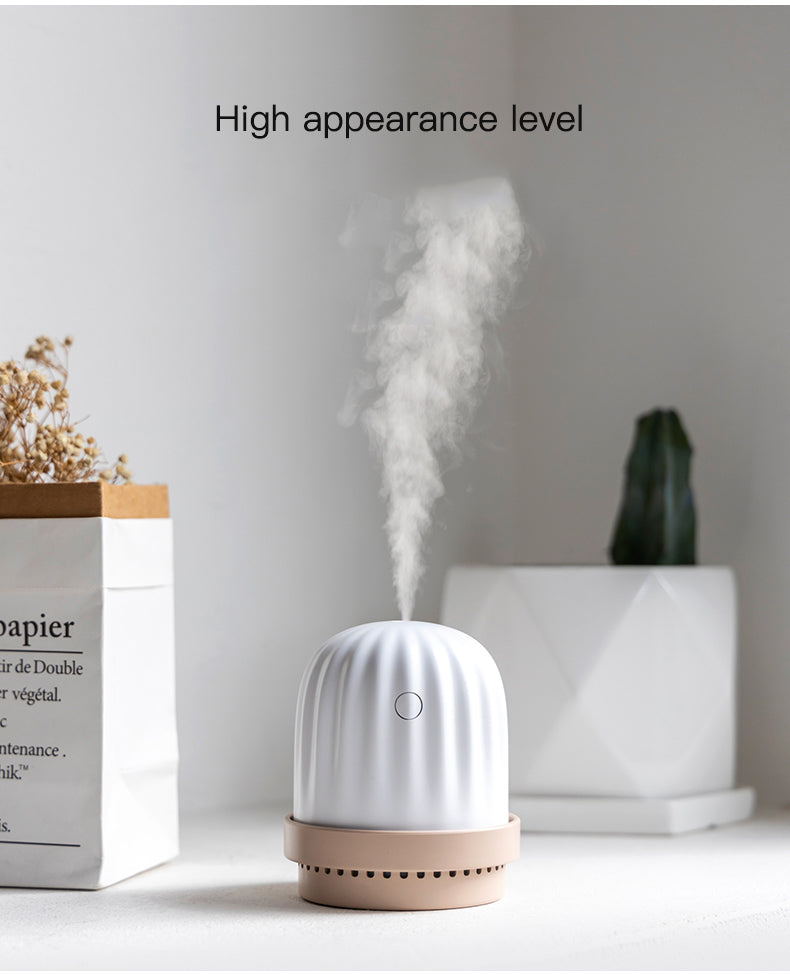 Cactus humidifier night light