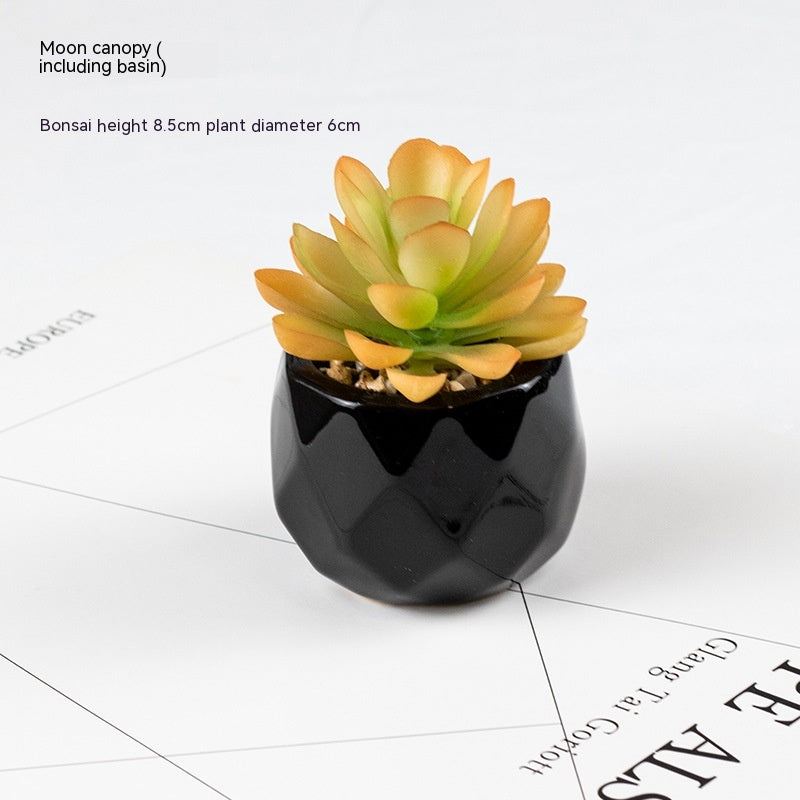 Artificial Green Plant Succulent Artificial Plant Home Furnishings