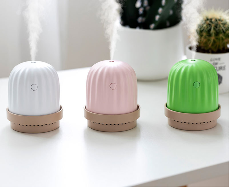 Cactus humidifier night light