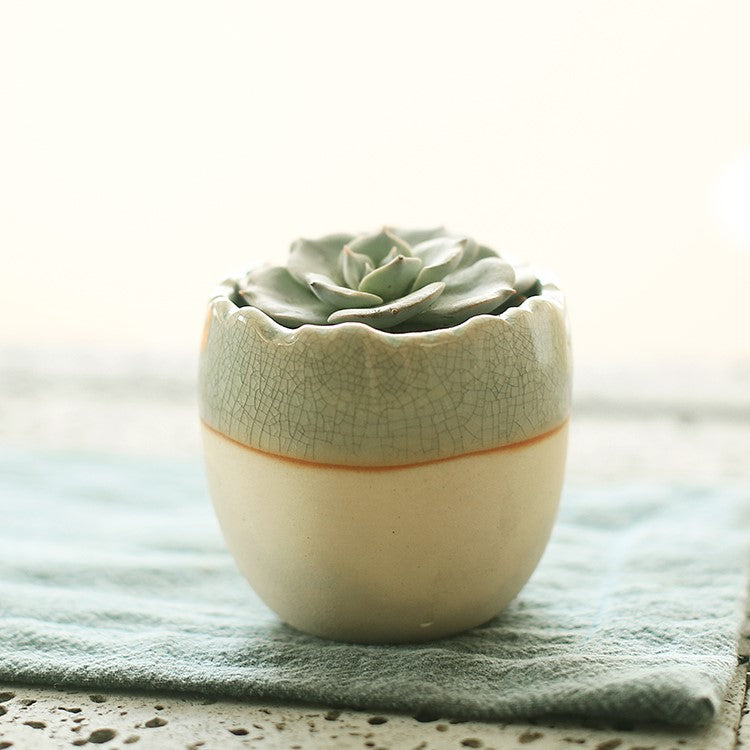 Succulent flowerpot furniture indoor potted plants