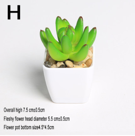 Simulated succulents mini potted plants