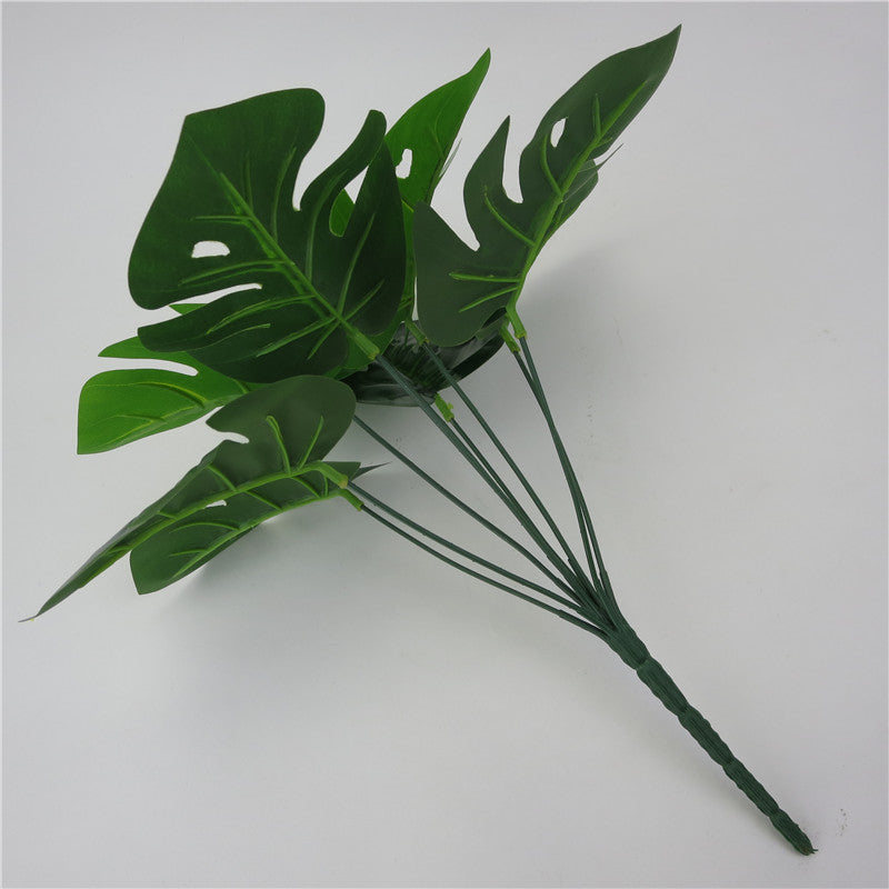 Monstera simulation plant