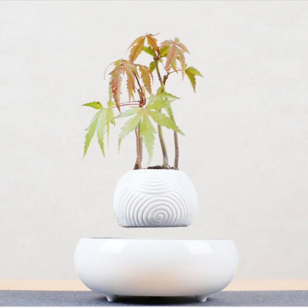 Magnetic Levitation Potted Plants