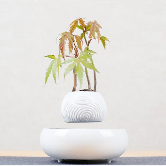 Magnetic Levitation Potted Plants