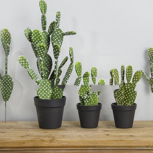Cactus Artificial Succulents Fake Plastic Opuntia Faux Green Desert